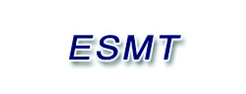 ESMT(Elite Semicon Memory Tech)