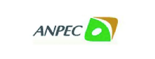 Anpec Elec