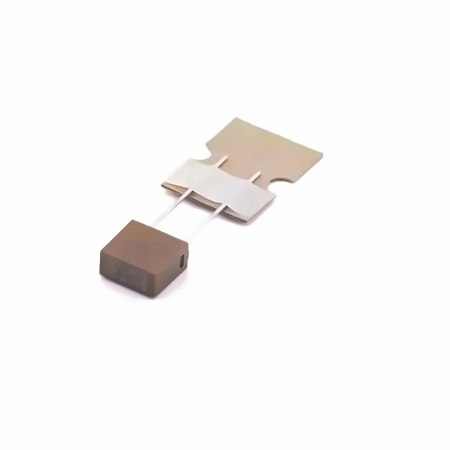 Walter Elec 2010T5A250V